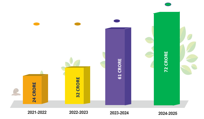 Annual turnover growth
